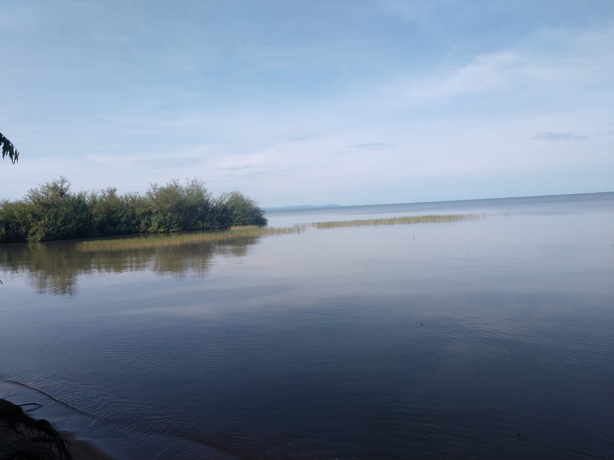 Wildlife safari game drive Tanzania savanna
